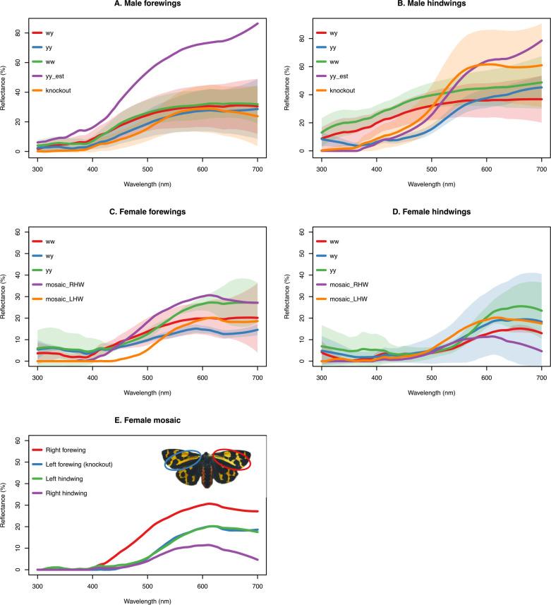 https://cdn.ncbi.nlm.nih.gov/pmc/blobs/00b3/10635649/b1cc9d98be58/elife-80116-fig4-figsupp4.jpg