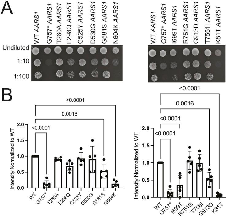 https://cdn.ncbi.nlm.nih.gov/pmc/blobs/00b3/12233060/1f82059a30f8/dmm-18-052006-g3.jpg