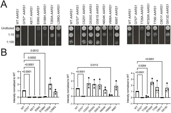 https://cdn.ncbi.nlm.nih.gov/pmc/blobs/00b3/12233060/dd628f84cb50/dmm-18-052006-g2.jpg