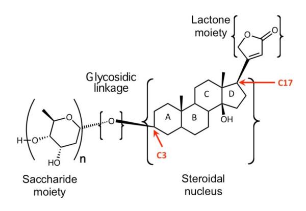 https://cdn.ncbi.nlm.nih.gov/pmc/blobs/00b3/3506989/58a264332d49/2162-3619-1-4-1.jpg
