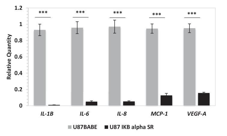 https://cdn.ncbi.nlm.nih.gov/pmc/blobs/00b4/5464770/a6818eee8808/elife-22593-fig2-figsupp2.jpg
