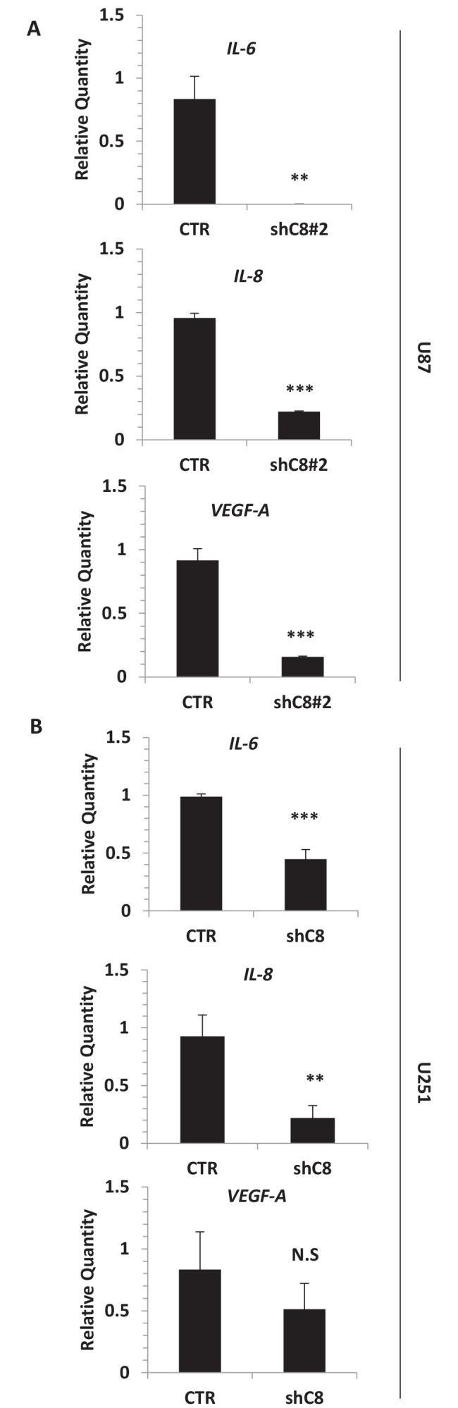 https://cdn.ncbi.nlm.nih.gov/pmc/blobs/00b4/5464770/e10da778d8ac/elife-22593-fig2-figsupp1.jpg