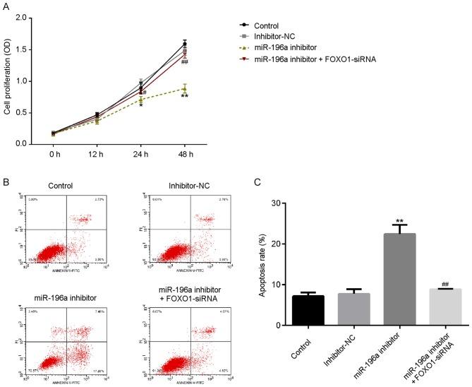 https://cdn.ncbi.nlm.nih.gov/pmc/blobs/00b7/7185189/625412bdbc1f/etm-19-06-3707-g04.jpg