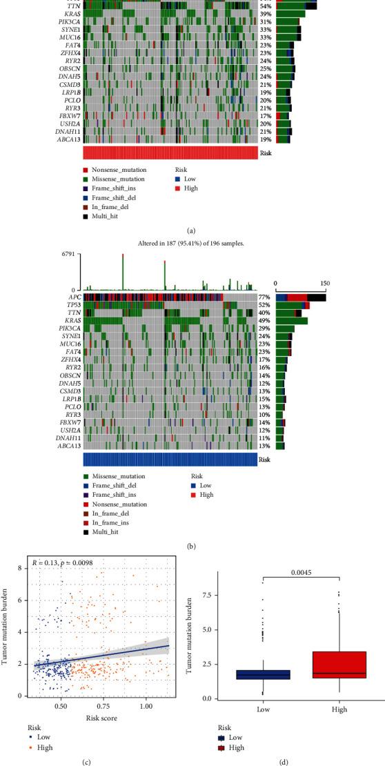 https://cdn.ncbi.nlm.nih.gov/pmc/blobs/00b9/10154103/3f2f9627ef1f/MI2023-3781091.008.jpg