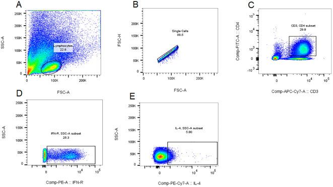 https://cdn.ncbi.nlm.nih.gov/pmc/blobs/00b9/12120637/b162da934380/fimmu-16-1500866-g001.jpg