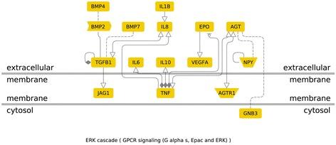 https://cdn.ncbi.nlm.nih.gov/pmc/blobs/00b9/4411872/44dc3d0aad9e/12881_2014_103_Fig5_HTML.jpg