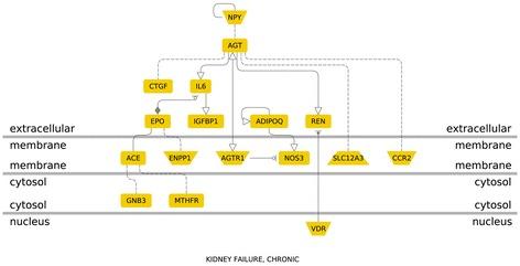 https://cdn.ncbi.nlm.nih.gov/pmc/blobs/00b9/4411872/4d8270f99e9f/12881_2014_103_Fig7_HTML.jpg