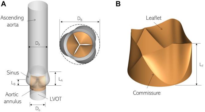 https://cdn.ncbi.nlm.nih.gov/pmc/blobs/00bb/8526559/b27f8ff2631a/fphys-12-734224-g001.jpg