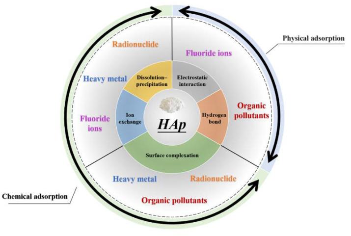 https://cdn.ncbi.nlm.nih.gov/pmc/blobs/00c1/9319406/40528ccbd30b/nanomaterials-12-02324-g001.jpg