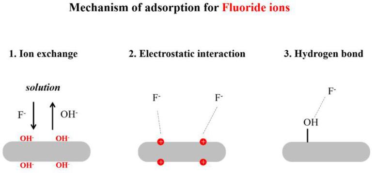 https://cdn.ncbi.nlm.nih.gov/pmc/blobs/00c1/9319406/58f4d6e92811/nanomaterials-12-02324-g004.jpg