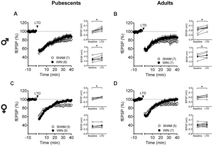 https://cdn.ncbi.nlm.nih.gov/pmc/blobs/00c3/6411818/7425f6895f2f/fnbeh-13-00023-g0005.jpg