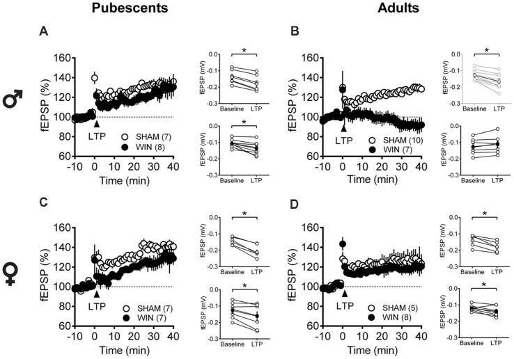 https://cdn.ncbi.nlm.nih.gov/pmc/blobs/00c3/6411818/a08fb71d5e30/fnbeh-13-00023-g0006.jpg