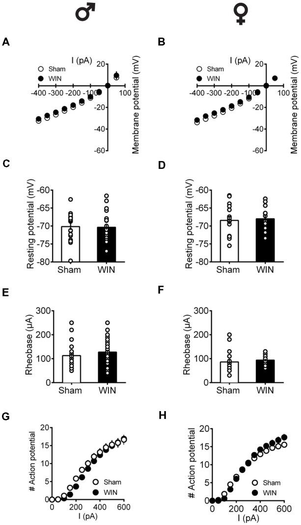https://cdn.ncbi.nlm.nih.gov/pmc/blobs/00c3/6411818/f99dcb2cdefe/fnbeh-13-00023-g0007.jpg