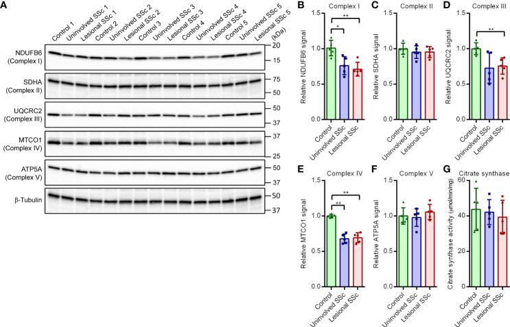 https://cdn.ncbi.nlm.nih.gov/pmc/blobs/00c5/9592691/22659de386e6/fimmu-13-1004949-g004.jpg