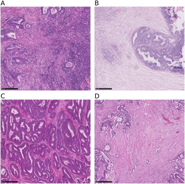 https://cdn.ncbi.nlm.nih.gov/pmc/blobs/00c7/11163018/3a6c40173a83/CJP2-10-e12385-g003.jpg