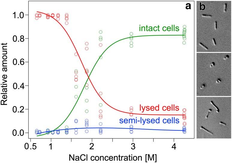 https://cdn.ncbi.nlm.nih.gov/pmc/blobs/00c7/5329092/31c2e5d29fb6/792_2016_912_Fig1_HTML.jpg