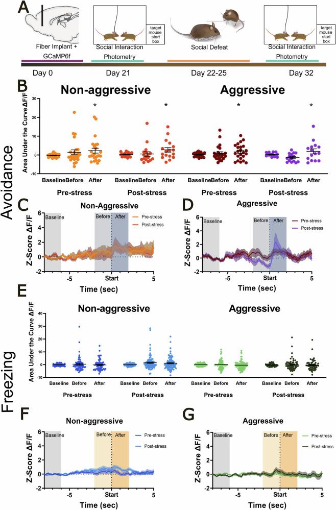https://cdn.ncbi.nlm.nih.gov/pmc/blobs/00c8/11480414/e0bec34c1665/41386_2024_1937_Fig4_HTML.jpg