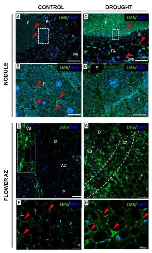 https://cdn.ncbi.nlm.nih.gov/pmc/blobs/00c8/8836056/9b509d2de063/ijms-23-01680-g008.jpg