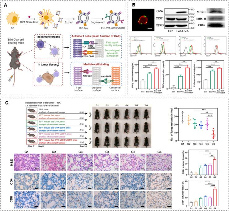 https://cdn.ncbi.nlm.nih.gov/pmc/blobs/00c9/10755545/338dc8fd3d94/gr8.jpg