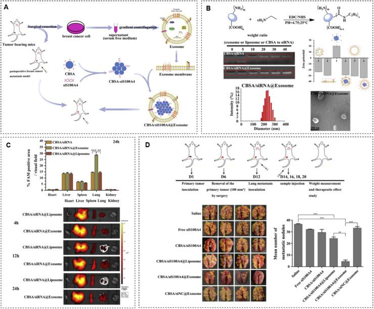 https://cdn.ncbi.nlm.nih.gov/pmc/blobs/00c9/10755545/51c8353e6185/gr5.jpg