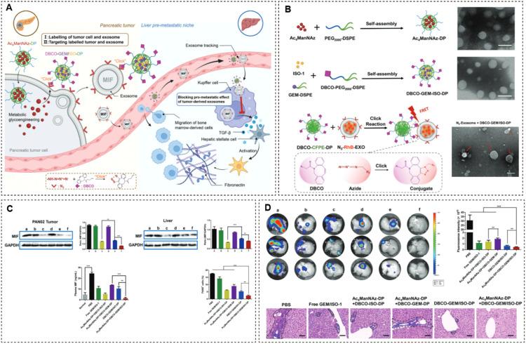 https://cdn.ncbi.nlm.nih.gov/pmc/blobs/00c9/10755545/dc4447b44458/gr3.jpg