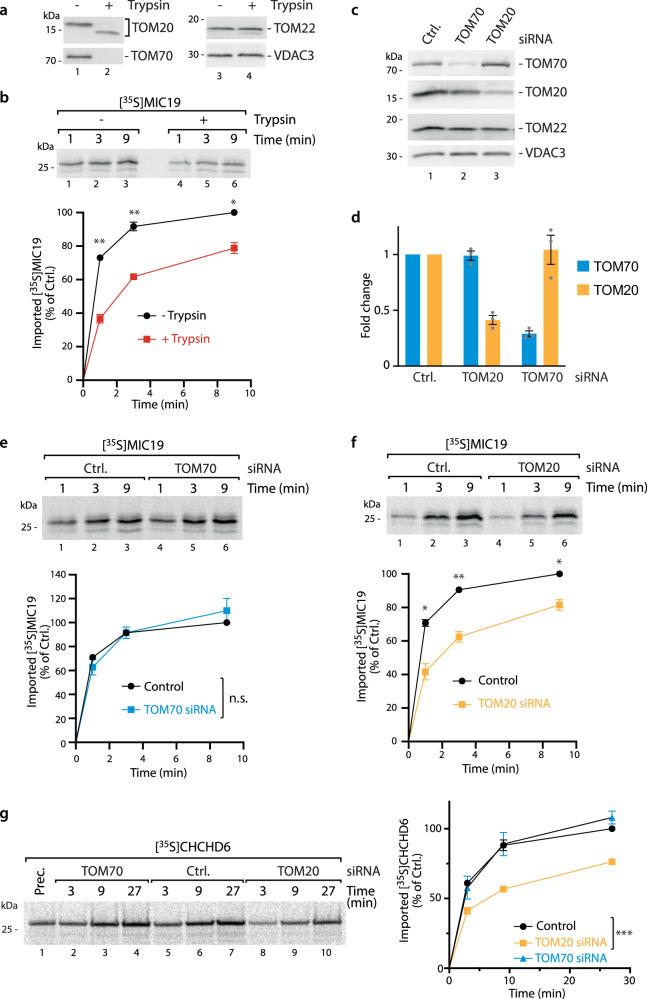 https://cdn.ncbi.nlm.nih.gov/pmc/blobs/00cb/11189921/87765e045444/41467_2024_49611_Fig3_HTML.jpg