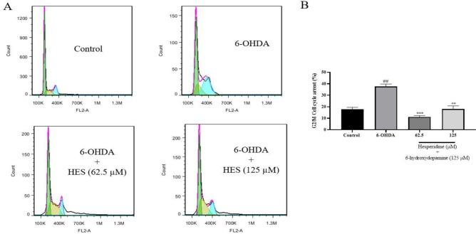 https://cdn.ncbi.nlm.nih.gov/pmc/blobs/00d0/12068502/b00ca2462a78/AJP-15-1082-g004.jpg