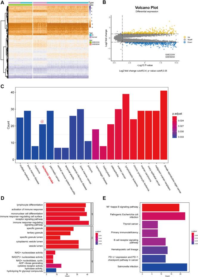 https://cdn.ncbi.nlm.nih.gov/pmc/blobs/00d0/9465164/1755ed7bc6d2/fgene-13-992847-g002.jpg