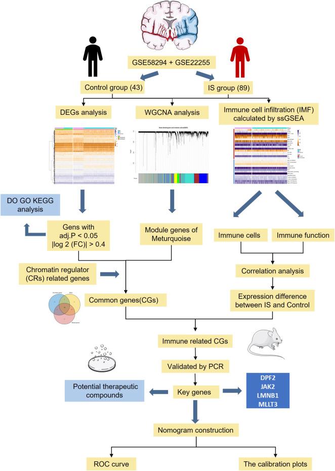 https://cdn.ncbi.nlm.nih.gov/pmc/blobs/00d0/9465164/1d7779a9f4a3/fgene-13-992847-g001.jpg