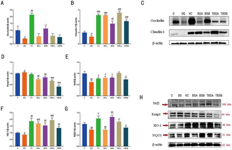 https://cdn.ncbi.nlm.nih.gov/pmc/blobs/00d1/11920168/cf0e41a2f19c/fmicb-16-1550556-g004.jpg