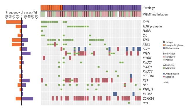 https://cdn.ncbi.nlm.nih.gov/pmc/blobs/00d1/6962483/9cb4a90d4f91/crt-2019-036f3.jpg