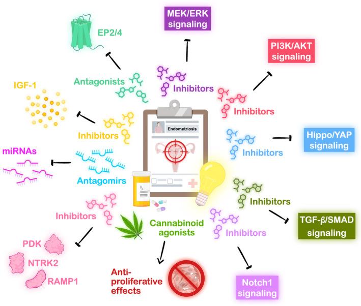 https://cdn.ncbi.nlm.nih.gov/pmc/blobs/00d5/11157498/eaed0f7ba264/RMB2-23-e12588-g002.jpg