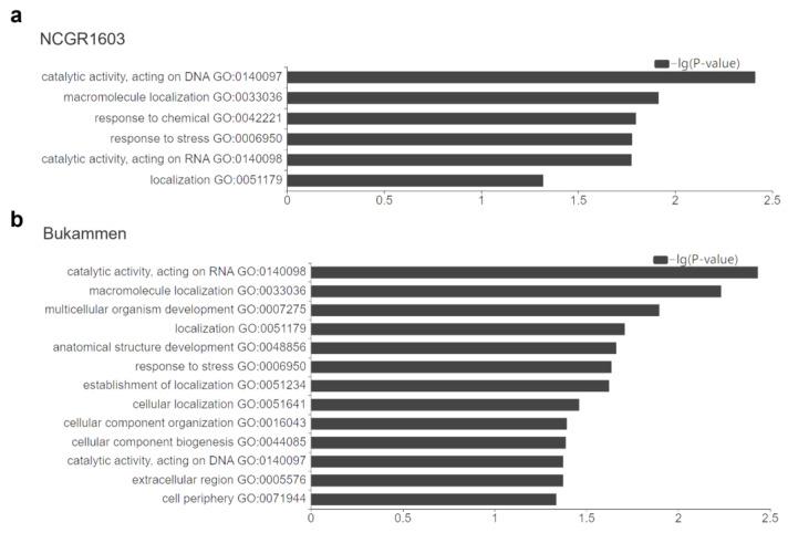 https://cdn.ncbi.nlm.nih.gov/pmc/blobs/00d6/10341869/3c6ed47d5f35/ijms-24-10851-g003.jpg