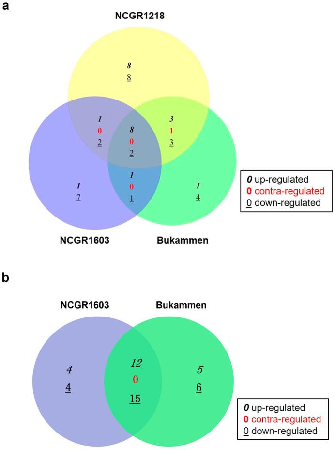 https://cdn.ncbi.nlm.nih.gov/pmc/blobs/00d6/10341869/60d2778a5efa/ijms-24-10851-g005.jpg