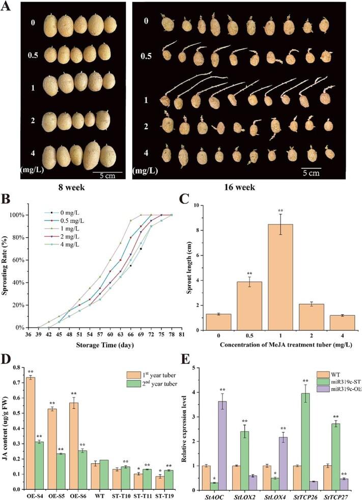 https://cdn.ncbi.nlm.nih.gov/pmc/blobs/00d7/11822407/177bb82fb56a/uhae303f7.jpg