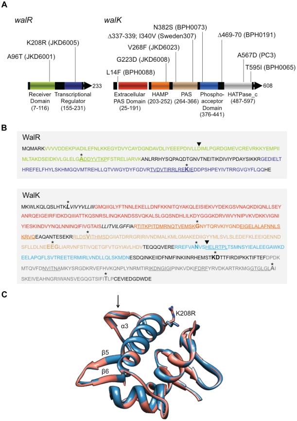 https://cdn.ncbi.nlm.nih.gov/pmc/blobs/00d7/3213104/741a32ce5b3c/ppat.1002359.g001.jpg