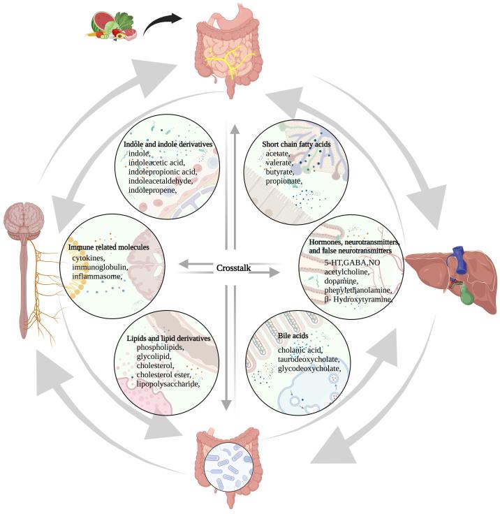 https://cdn.ncbi.nlm.nih.gov/pmc/blobs/00d8/11149093/a869d193fbef/mrr-3-2-17.fig.1.jpg