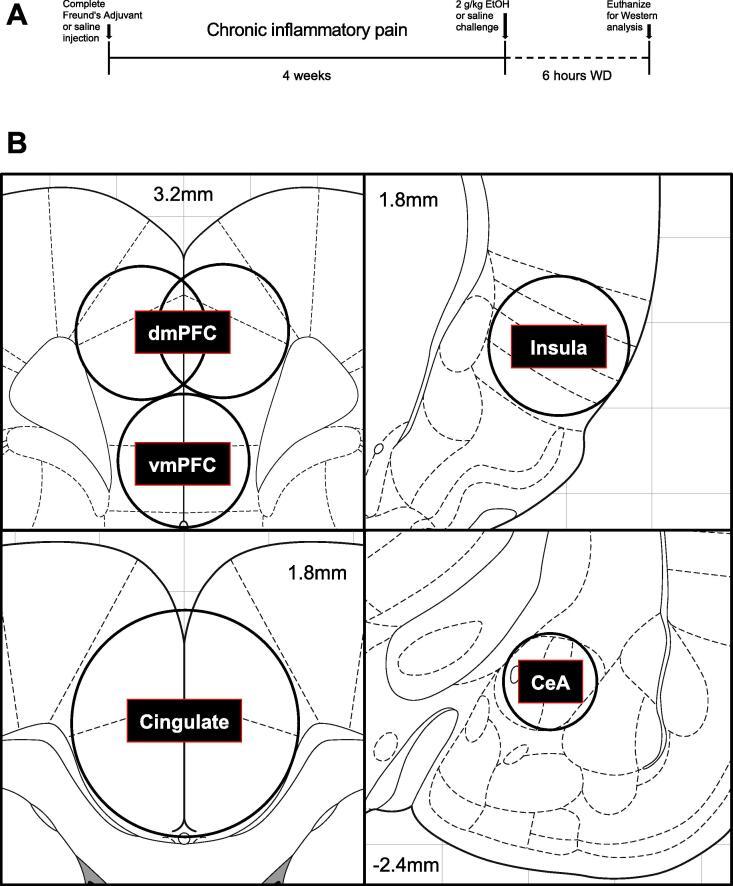 https://cdn.ncbi.nlm.nih.gov/pmc/blobs/00de/7509777/b54dcd322886/gr3.jpg
