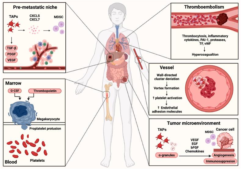 https://cdn.ncbi.nlm.nih.gov/pmc/blobs/00df/11305202/2588a10a719e/gr1.jpg