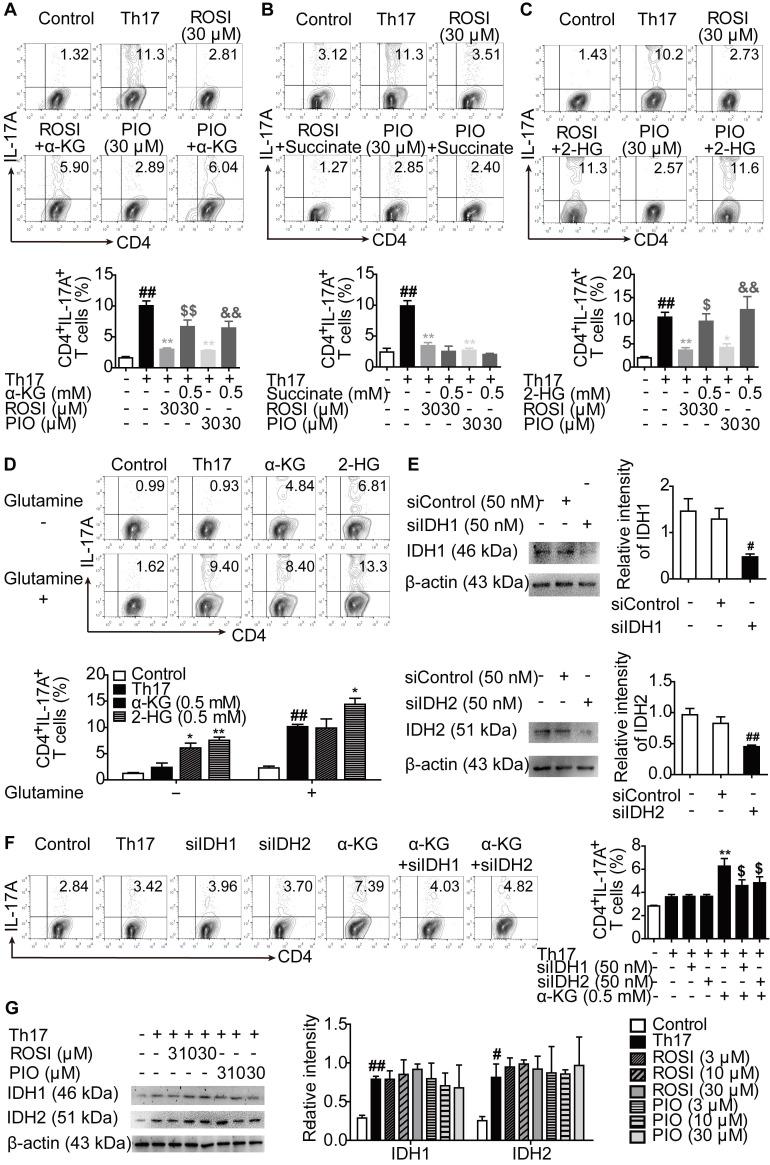 https://cdn.ncbi.nlm.nih.gov/pmc/blobs/00e0/7977454/2f0ee6a206ef/thnov11p4531g004.jpg
