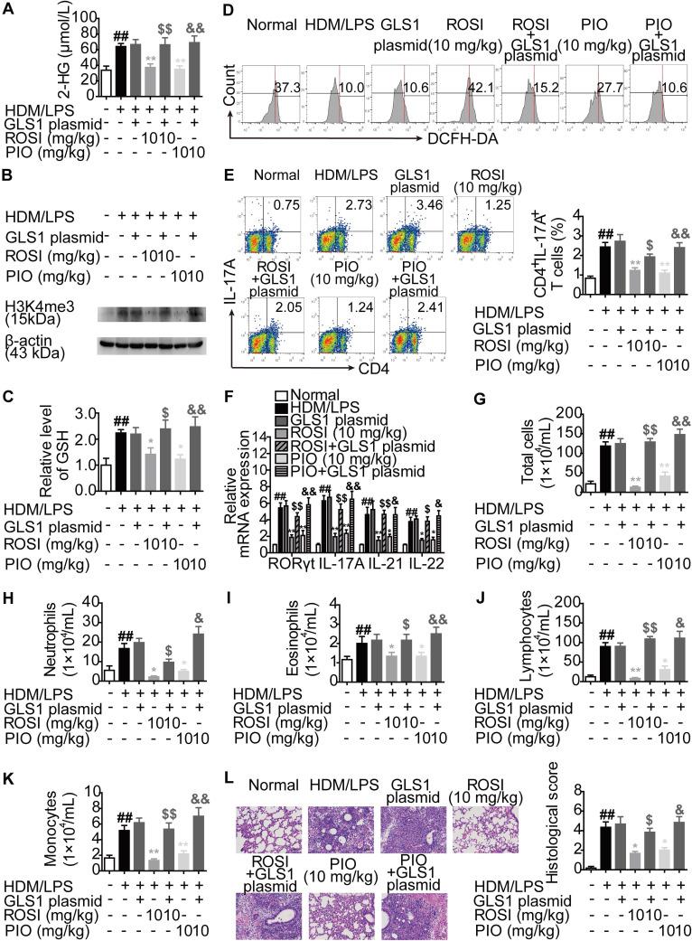 https://cdn.ncbi.nlm.nih.gov/pmc/blobs/00e0/7977454/57c791ec3f02/thnov11p4531g009.jpg