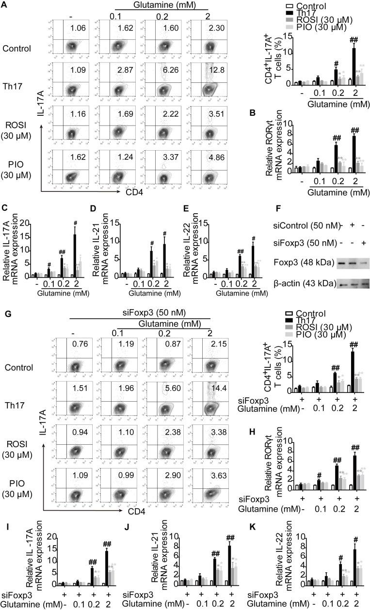 https://cdn.ncbi.nlm.nih.gov/pmc/blobs/00e0/7977454/ba98a467058e/thnov11p4531g002.jpg