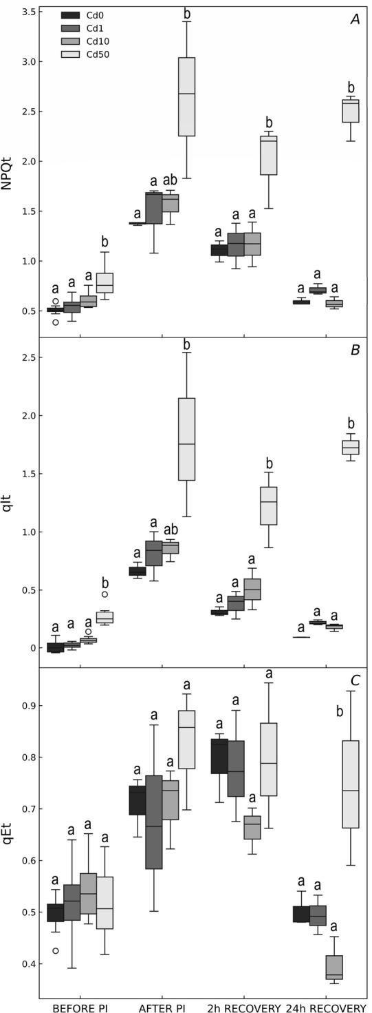 https://cdn.ncbi.nlm.nih.gov/pmc/blobs/00e3/12319939/289e9fc07293/PS-63-2-63182-g005.jpg