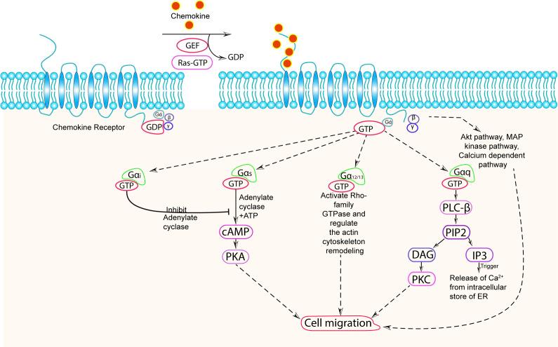 https://cdn.ncbi.nlm.nih.gov/pmc/blobs/00e4/11707835/14b0cf4f4ed8/S146239942400036X_fig1.jpg