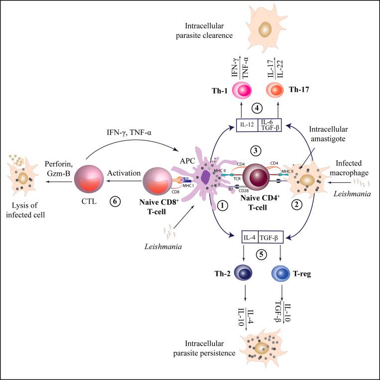 https://cdn.ncbi.nlm.nih.gov/pmc/blobs/00e4/11707835/4f752a1ad3f2/S146239942400036X_fig2.jpg