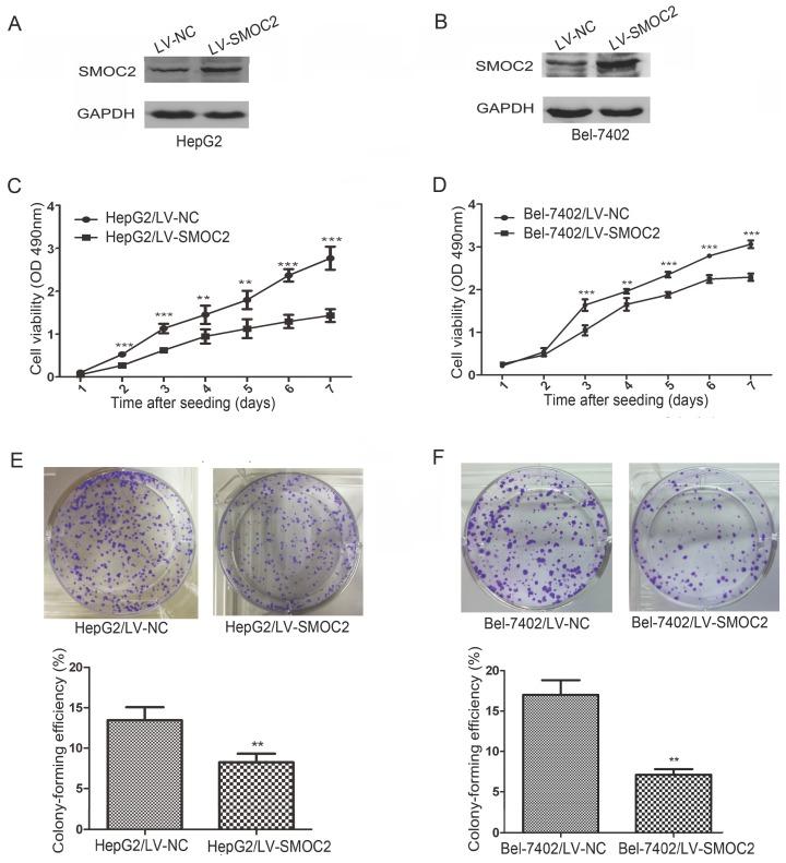 https://cdn.ncbi.nlm.nih.gov/pmc/blobs/00e5/5688935/98e2b772f23a/jcav08p3812g005.jpg