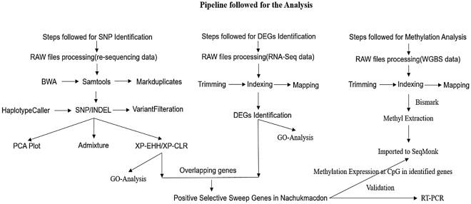 https://cdn.ncbi.nlm.nih.gov/pmc/blobs/00e5/8009959/09e31407a656/41598_2021_86683_Fig5_HTML.jpg