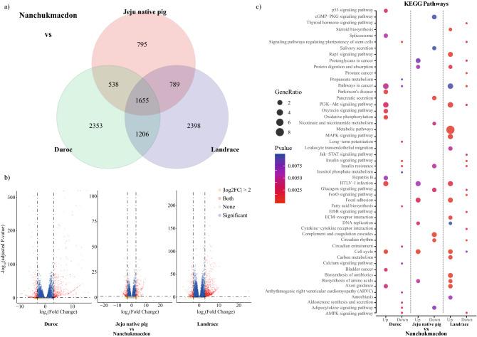 https://cdn.ncbi.nlm.nih.gov/pmc/blobs/00e5/8009959/ea17cbe1aa04/41598_2021_86683_Fig2_HTML.jpg