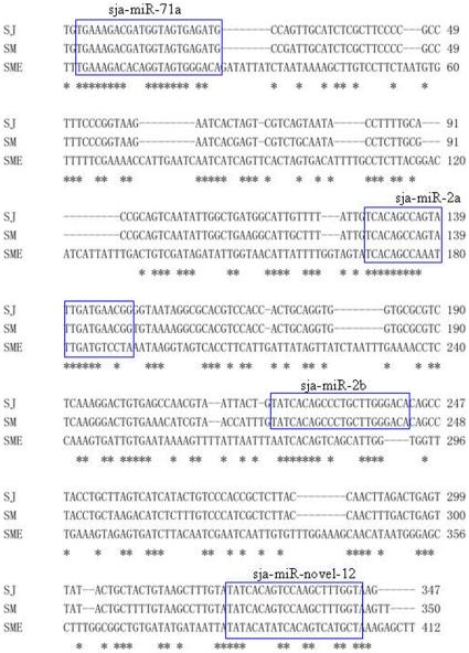 https://cdn.ncbi.nlm.nih.gov/pmc/blobs/00e9/2817716/c5cde88d6e45/pntd.0000596.g003.jpg