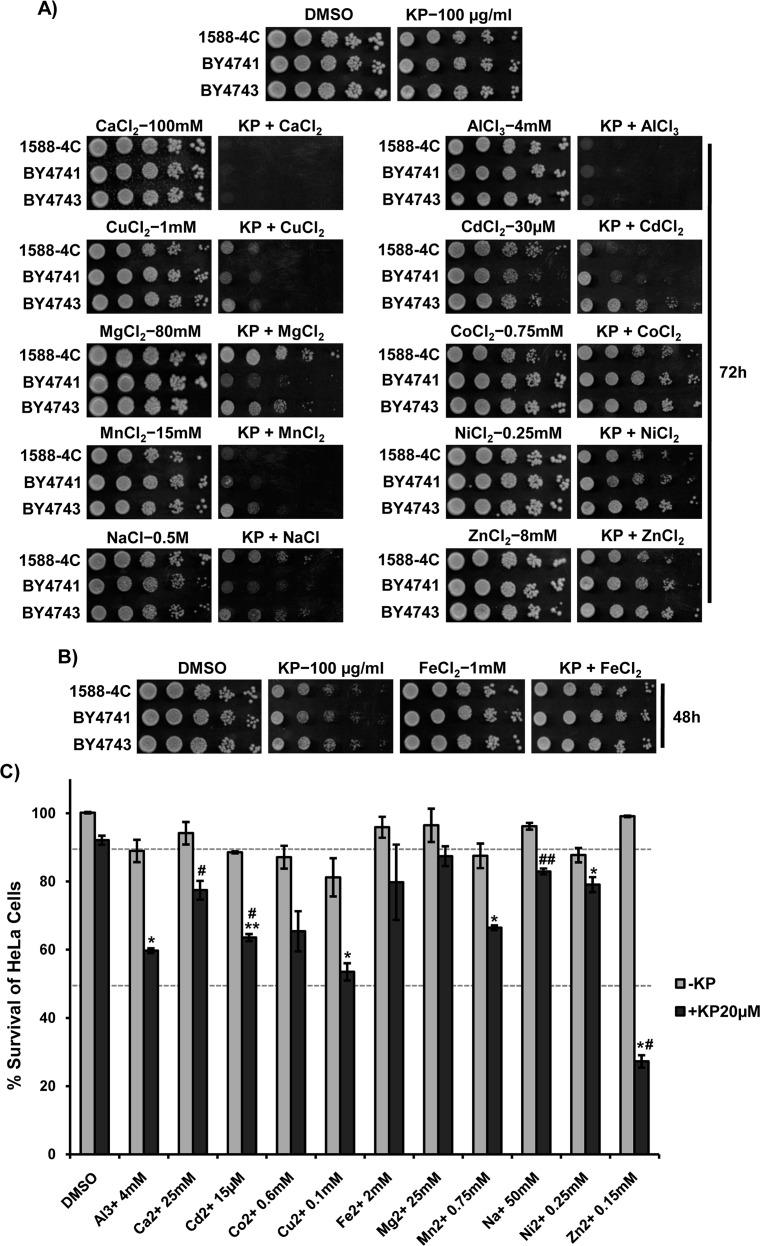 https://cdn.ncbi.nlm.nih.gov/pmc/blobs/00e9/5716741/98c1a8e2906b/oncotarget-08-98426-g006.jpg